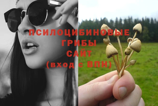 сатива Балабаново