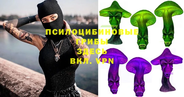 прущий лед Аркадак